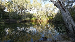 Snorkelling the channel at Bitter Springs